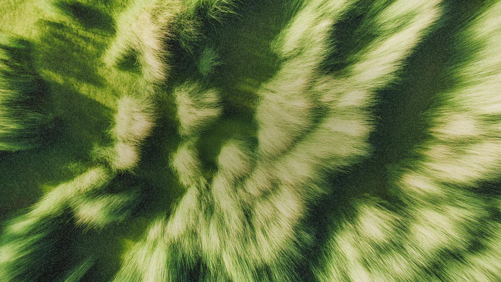 Grass background